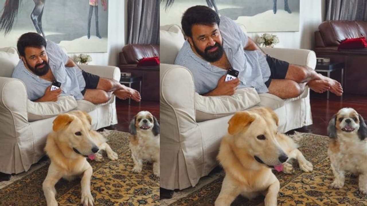 'അവസാനം അവരെ കണ്‍വിന്‍സ് ചെയ്‍തു'; 'കാസ്‍പറി'നും 'വിസ്‍കി'ക്കുമൊപ്പം പോസ് ചെയ്ത് മോഹന്‍ലാല്‍, വൈറല്‍ ചിത്രം