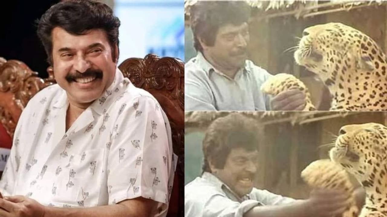 'അന്ന് ഗ്രാഫിക്സ് ഒന്നുമില്ല, യഥാർത്ഥ പുലികളുമായിട്ട് മമ്മൂക്ക ഫൈറ്റ് ചെയ്തു, വലിയ അനുഭവമാണത്..'