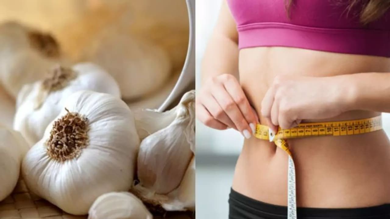 വണ്ണം കുറയ്ക്കാന് വെളുത്തുള്ളി ഇങ്ങനെ കഴിക്കൂ... വണ്ണം കുറയ്ക്കാന് വെളുത്തുള്ളി ഇങ്ങനെ കഴിക്കൂ...