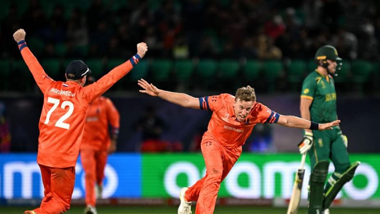 ODI World Cup 2023: South Africa's coach analyses shock defeat to Netherlands in mega event