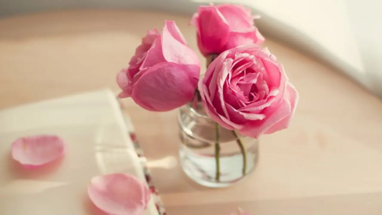 മുഖത്തെ ചുളിവുകൾ മാറാൻ റോസ് വാട്ടർ ; ഇങ്ങനെ ഉപയോ​ഗിക്കൂ 