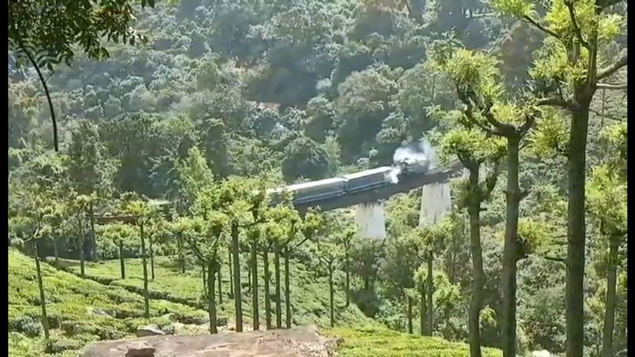 தண்டவாளத்தில் ஏற்பட்ட மண் சரிவு; உதகையில் மலை ரயில் சேவை ரத்து தண்டவாளத்தில் ஏற்பட்ட மண் சரிவு; உதகையில் மலை ரயில் சேவை ரத்து