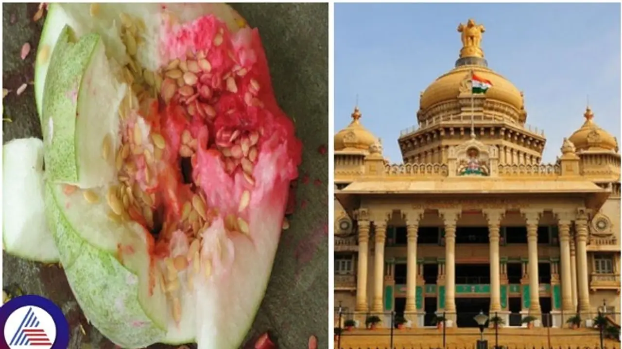 ದಸರಾ ಆಯುಧ ಪೂಜೆಗೆ ಅರಿಶಿಣ, ಕುಂಕುಮ ಹಾಗೂ ರಂಗೋಲಿ ನಿಷೇಧಿಸಿದ ಸರ್ಕಾರ! ದಸರಾ ಆಯುಧ ಪೂಜೆಗೆ ಅರಿಶಿಣ, ಕುಂಕುಮ ಹಾಗೂ ರಂಗೋಲಿ ನಿಷೇಧಿಸಿದ ಸರ್ಕಾರ!