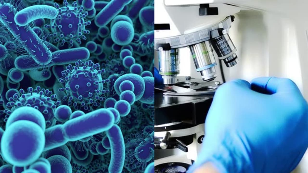 തിരുവനന്തപുരത്ത് സെന്റര് ഓഫ് എക്സലന്സ് ഇന് മൈക്രോബയോം സ്ഥാപിക്കും; കൊവിഡിന് ശേഷം ഏറെ പ്രസക്തം തിരുവനന്തപുരത്ത് സെന്റര് ഓഫ് എക്സലന്സ് ഇന് മൈക്രോബയോം സ്ഥാപിക്കും; കൊവിഡിന് ശേഷം ഏറെ പ്രസക്തം