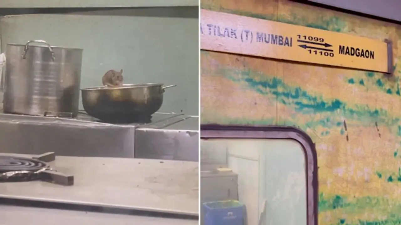 Shocking video reveals rat infestation in train pantry; railways reacts (WATCH)