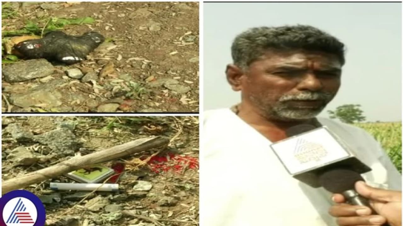 ರೈತರ ಹೊಲಗಳಿಗೆ ವಾಮಾಚಾರ ಮಾಡ್ತಿರೋ ಮಂತ್ರವಾದಿಗಳು: ಬರದ ನಡುವೆ ಹಣ ಸುಲಿಗೆಗೆ ಕುತಂತ್ರಿಗಳ ಕಳ್ಳಾಟ