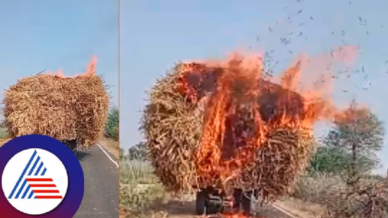 ವಿದ್ಯುತ್ ತಂತಿ ತಗುಲಿ ಟ್ರ್ಯಾಕ್ಟರ್‌ನಲ್ಲಿದ್ದ ಒಣಮೇವು ಸುಟ್ಟು ಭಸ್ಮ! 