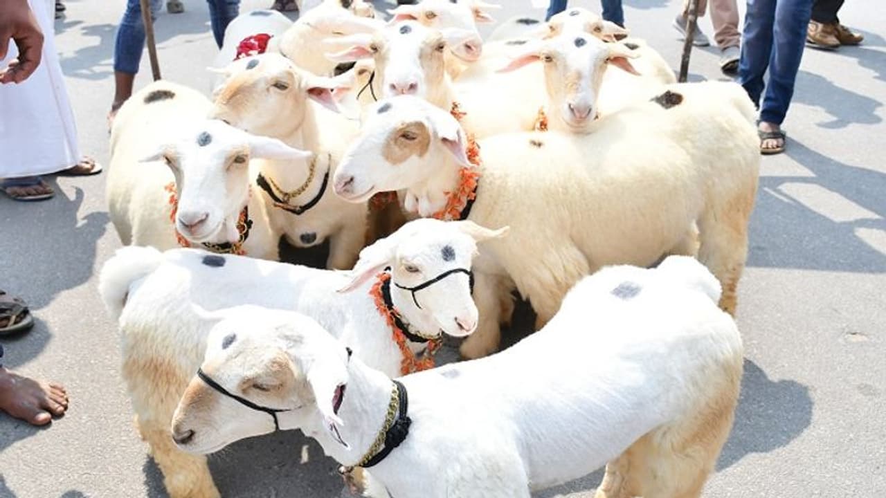 ವಿಶ್ವವಿಖ್ಯಾತ ಮೈಸೂರು ದಸರೆಯಲ್ಲಿ ರೈತರ ದರ್ಬಾರ್‌...!