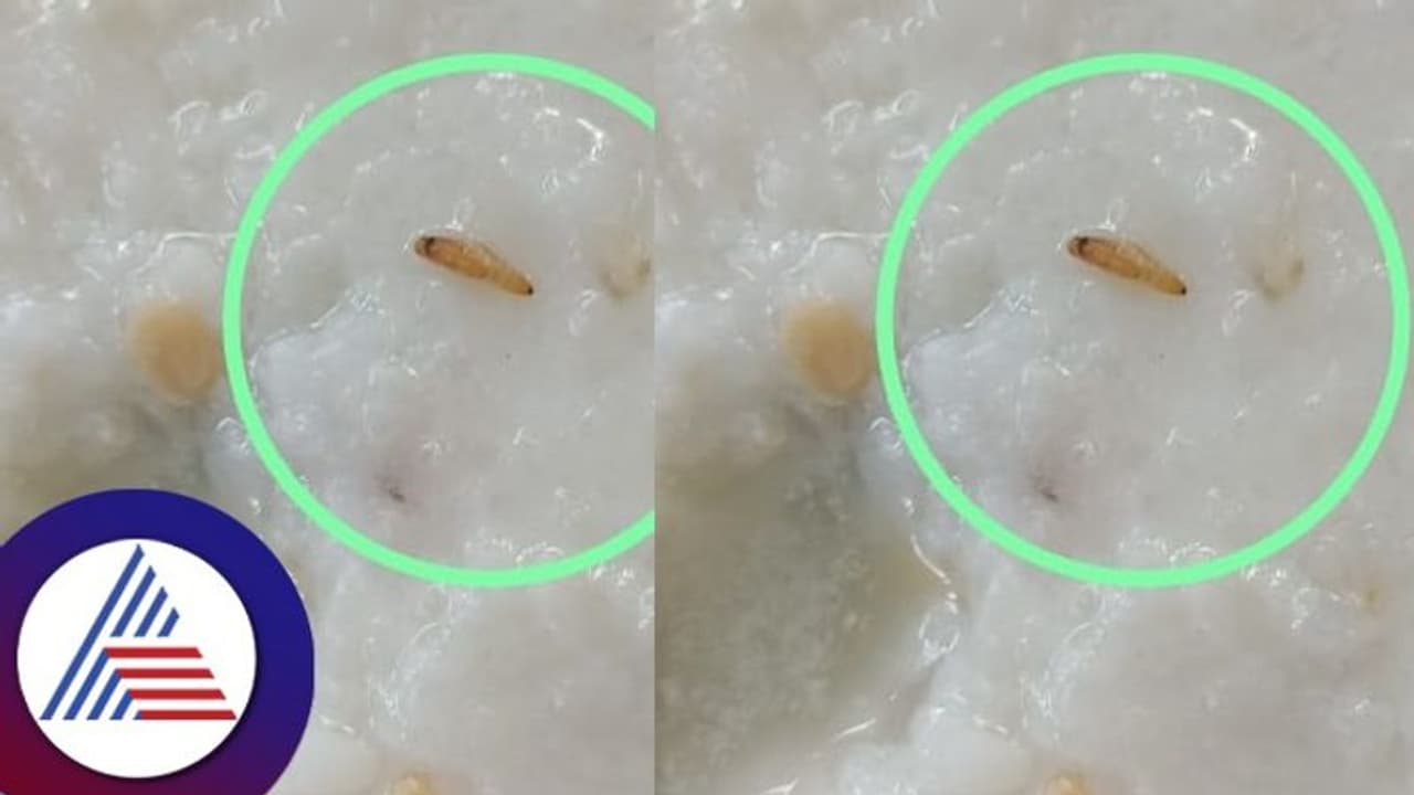 ಕ್ರಿಕೆಟ್ ಭದ್ರತೆಗಿದ್ದ ಪೊಲೀಸರಿಗೆ ನೀಡಿದ ಮೊಸರನ್ನದಲ್ಲಿ ಹುಳ! ಕ್ರಿಕೆಟ್ ಭದ್ರತೆಗಿದ್ದ ಪೊಲೀಸರಿಗೆ ನೀಡಿದ ಮೊಸರನ್ನದಲ್ಲಿ ಹುಳ!