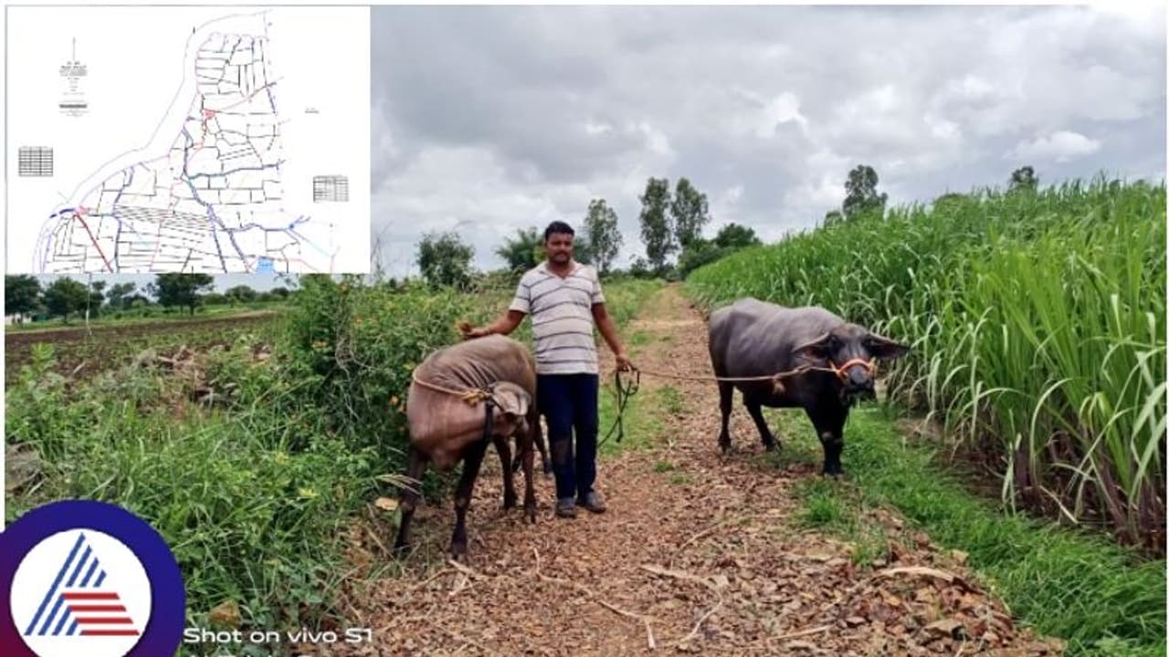 ರೈತರಿಗೆ ಮಹತ್ವದ ಆದೇಶ: ಗ್ರಾಮ ನಕಾಶೆ ಡೌನ್ಲೋಡ್ ಮಾಡಿ ಜಮೀನಿನ ಬಂಡಿದಾರಿ, ಕಾಲುದಾರಿಗಳ ಒತ್ತುವರಿ ತೆರವುಗೊಳಿಸಿ ರೈತರಿಗೆ ಮಹತ್ವದ ಆದೇಶ: ಗ್ರಾಮ ನಕಾಶೆ ಡೌನ್ಲೋಡ್ ಮಾಡಿ ಜಮೀನಿನ ಬಂಡಿದಾರಿ, ಕಾಲುದಾರಿಗಳ ಒತ್ತುವರಿ ತೆರವುಗೊಳಿಸಿ