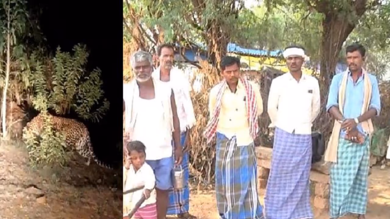 Chitradurga: ಚಿಕ್ಕಗೊಂಡನಹಳ್ಳಿ ಗ್ರಾಮದಲ್ಲಿ ಚಿರತೆ ಪ್ರತ್ಯಕ್ಷ: ಜನರಲ್ಲಿ ಮೂಡಿದ ಆತಂಕ! Chitradurga: ಚಿಕ್ಕಗೊಂಡನಹಳ್ಳಿ ಗ್ರಾಮದಲ್ಲಿ ಚಿರತೆ ಪ್ರತ್ಯಕ್ಷ: ಜನರಲ್ಲಿ ಮೂಡಿದ ಆತಂಕ!