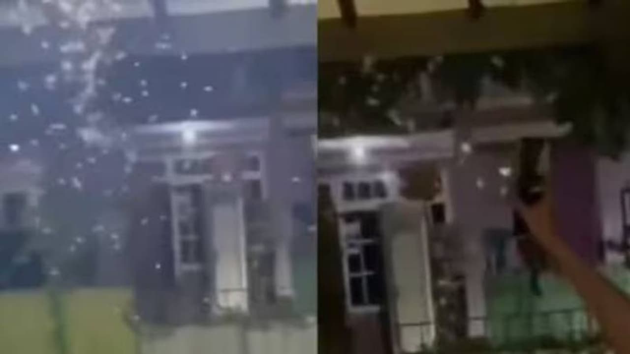 ലൈറ്റിന് ചുറ്റും പറക്കുന്ന പ്രാണികളെ ഒഴിവാക്കാൻ ആൺകുട്ടിയുടെ കിടിലൻ ഐഡിയ, കയ്യടിച്ച് സോഷ്യൽ മീഡിയ ലൈറ്റിന് ചുറ്റും പറക്കുന്ന പ്രാണികളെ ഒഴിവാക്കാൻ ആൺകുട്ടിയുടെ കിടിലൻ ഐഡിയ, കയ്യടിച്ച് സോഷ്യൽ മീഡിയ