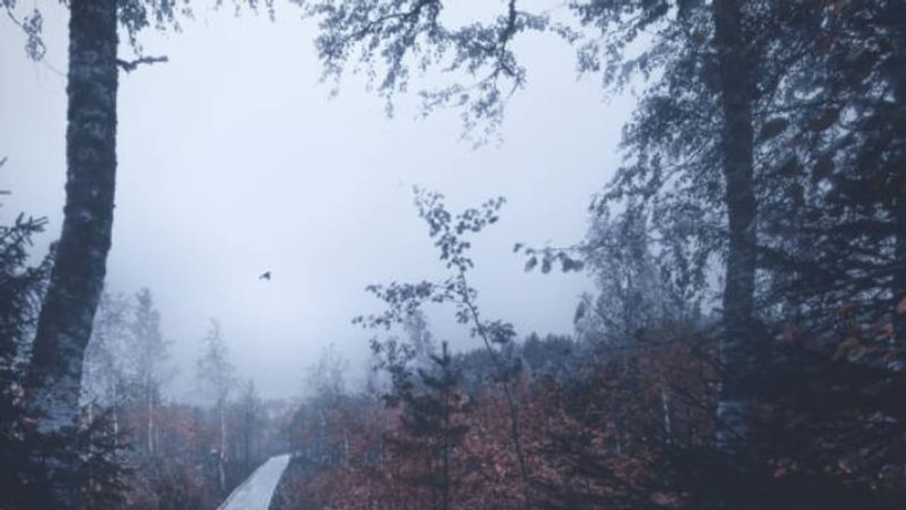 ഈ മാസങ്ങളില് നിങ്ങള് എപ്പോഴും വിഷാദത്തിലാകാറുണ്ടോ? ഈ മാസങ്ങളില് നിങ്ങള് എപ്പോഴും വിഷാദത്തിലാകാറുണ്ടോ?