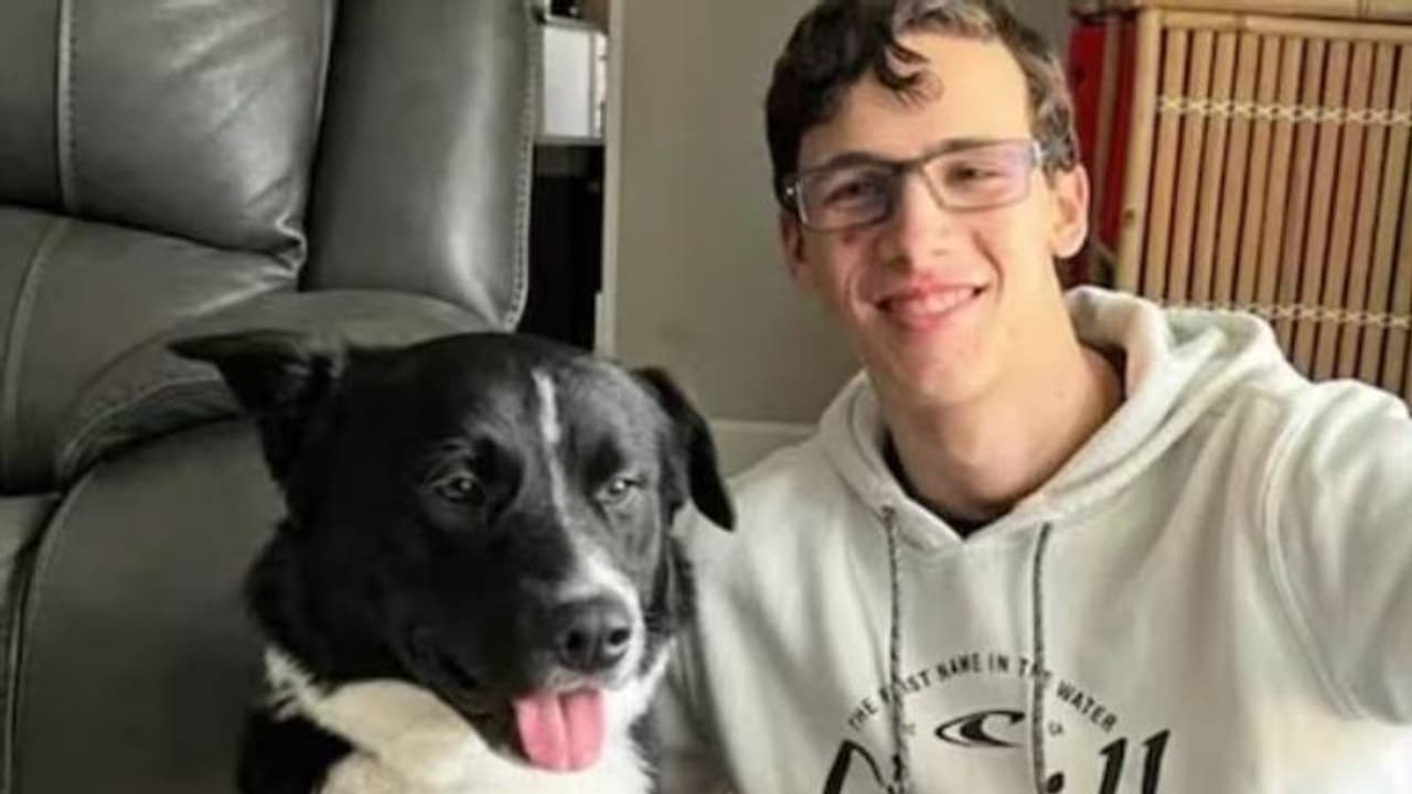 17 കാരന് സ്ട്രോക്ക്, കൃത്യസമയത്തെത്തി ജീവൻ രക്ഷിക്കാൻ കാരണമായിത്തീർന്നത് നായ