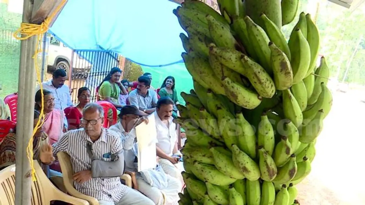 വീണ്ടും വൻ ഹിറ്റായി കെ റെയിൽ വിരുദ്ധ വാഴക്കുല ലേലം: കോട്ടയത്ത് കിട്ടിയത് അരലക്ഷത്തോളം രൂപ വീണ്ടും വൻ ഹിറ്റായി കെ റെയിൽ വിരുദ്ധ വാഴക്കുല ലേലം: കോട്ടയത്ത് കിട്ടിയത് അരലക്ഷത്തോളം രൂപ