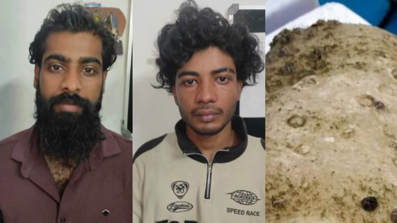 കൊച്ചിയില്‍ കോടികളുടെ തിമിംഗല ഛര്‍ദ്ദി പിടിച്ചെടുത്തു, രണ്ടു പേര്‍ അറസ്റ്റില്‍