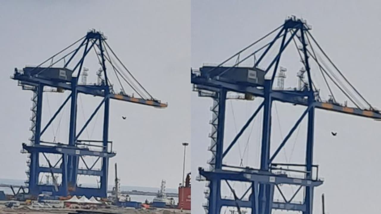 Kerala News Highlights: Large cranes unloaded at Vizhinjam International Seaport Kerala News Highlights: Large cranes unloaded at Vizhinjam International Seaport