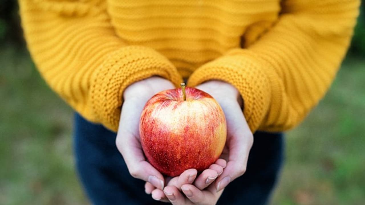 ആപ്പിളിനെക്കാള് ഫൈബര് അടങ്ങിയ നാല് ഭക്ഷണങ്ങള്... ആപ്പിളിനെക്കാള് ഫൈബര് അടങ്ങിയ നാല് ഭക്ഷണങ്ങള്...