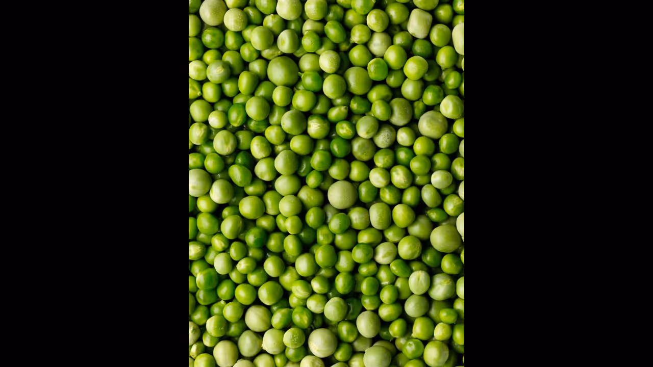 ഗ്രീൻ പീസിന്റെ ഈ ഗുണങ്ങൾ അറിയാതെ പോകരുത് ഗ്രീൻ പീസിന്റെ ഈ ഗുണങ്ങൾ അറിയാതെ പോകരുത്