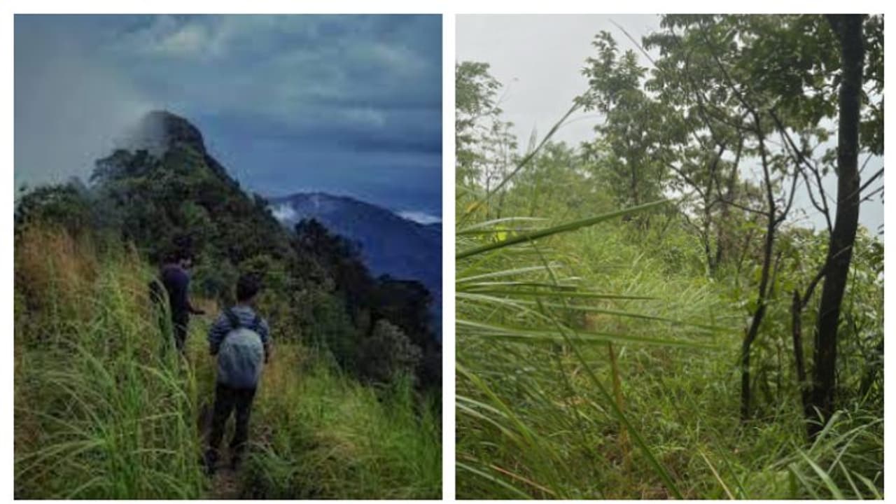 മുതുകോരമലയിൽ കുടുങ്ങി യുവാക്കൾ; മണിക്കൂറുകൾ നീണ്ട പരിശ്രമം, ഒടുവിൽ രക്ഷപ്പെടുത്തി മുതുകോരമലയിൽ കുടുങ്ങി യുവാക്കൾ; മണിക്കൂറുകൾ നീണ്ട പരിശ്രമം, ഒടുവിൽ രക്ഷപ്പെടുത്തി