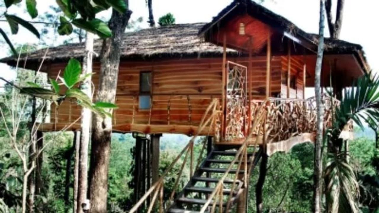 ಹೊಸ ವರ್ಷಾಚರಣೆ: ರೆಸಾರ್ಟ್ ಬಾಡಿಗೆ ಲಕ್ಷ ರೂ! ಹೊಸ ವರ್ಷಾಚರಣೆ: ರೆಸಾರ್ಟ್ ಬಾಡಿಗೆ ಲಕ್ಷ ರೂ!