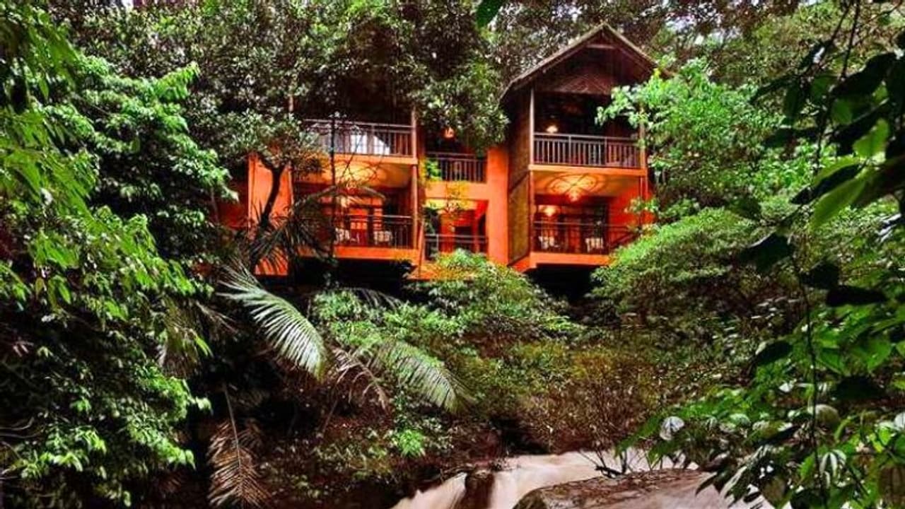 ಕಾಡಲ್ಲೆಂಥ ಹನಿಮೂನ್? ಯಾಕೋ ಇದೇ ಹೊಸ ಟ್ರೆಂಡ್ ನೋಡಿ ಕಾಡಲ್ಲೆಂಥ ಹನಿಮೂನ್? ಯಾಕೋ ಇದೇ ಹೊಸ ಟ್ರೆಂಡ್ ನೋಡಿ