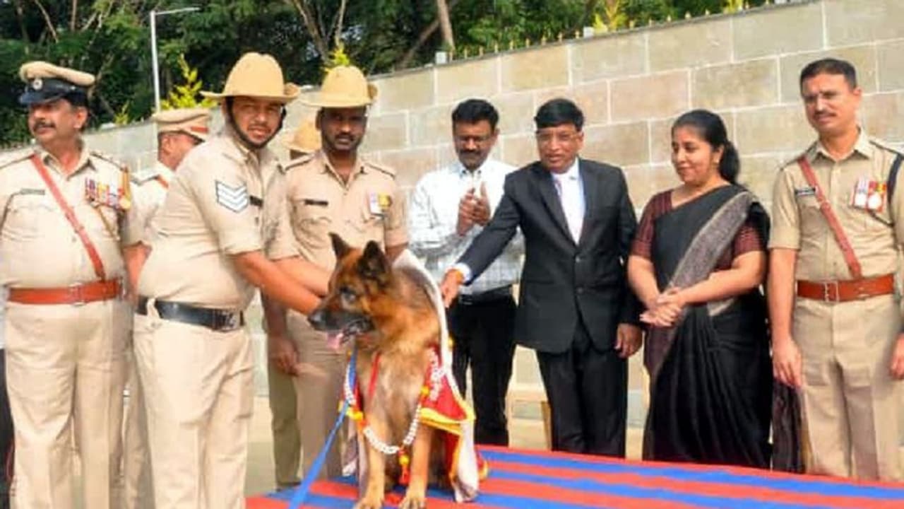 10 ವರ್ಷಗಳಿಂದ ಪೊಲೀಸ್ ಇಲಾಖೆಯಲ್ಲಿ ಸಿಂಹ ಸ್ವಪ್ನವಾಗಿದ್ದ ಶ್ವಾನ ಟಿಪ್ಪುವಿಗೆ ಭಾವನಾತ್ಮಕ ಬೀಳ್ಕೊಡುಗೆ! 10 ವರ್ಷಗಳಿಂದ ಪೊಲೀಸ್ ಇಲಾಖೆಯಲ್ಲಿ ಸಿಂಹ ಸ್ವಪ್ನವಾಗಿದ್ದ ಶ್ವಾನ ಟಿಪ್ಪುವಿಗೆ ಭಾವನಾತ್ಮಕ ಬೀಳ್ಕೊಡುಗೆ!