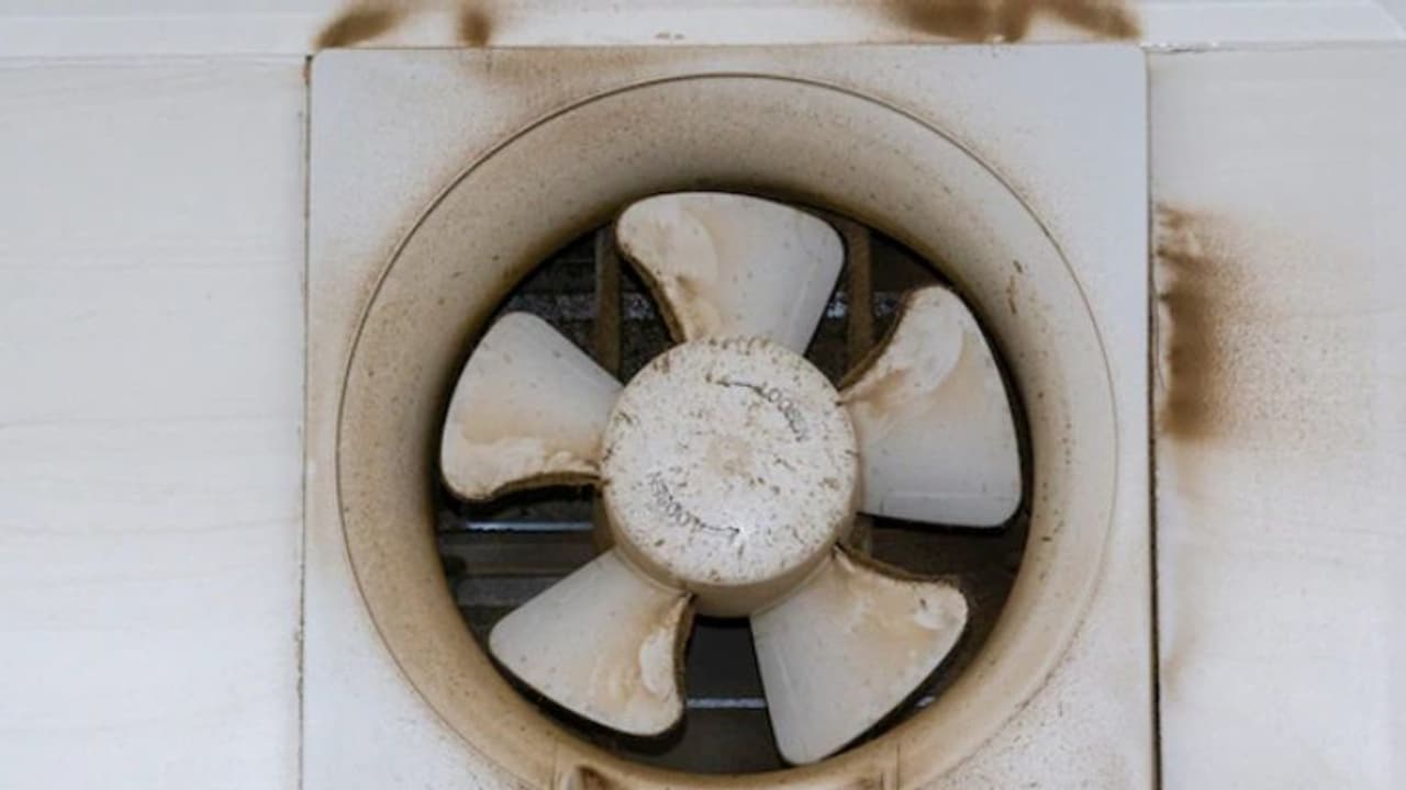 നിങ്ങളുടെ അടുക്കളയില് എക്സ്ഹോസ്റ്റ് ഫാൻ ഉണ്ടോ? എങ്കിലിതാ നിങ്ങളറിയാൻ... നിങ്ങളുടെ അടുക്കളയില് എക്സ്ഹോസ്റ്റ് ഫാൻ ഉണ്ടോ? എങ്കിലിതാ നിങ്ങളറിയാൻ...