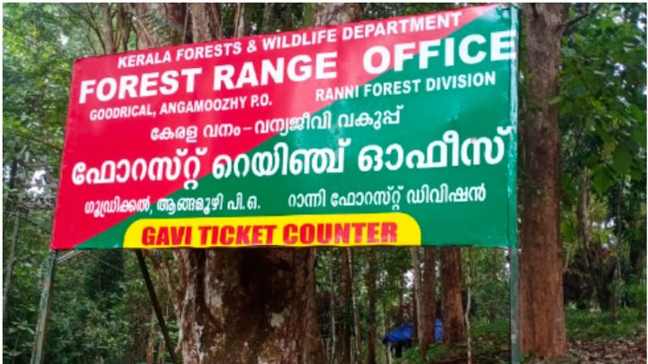 ഗവിയിൽ ടവറിന് മുകളിൽ കയറി വനംവകുപ്പ് ജീവനക്കാരന്റെ ആത്മഹത്യ ഭീഷണി; ജോലിയിൽ നിന്ന് മാറ്റി നിർത്തുന്നെന്ന് പരാതി ഗവിയിൽ ടവറിന് മുകളിൽ കയറി വനംവകുപ്പ് ജീവനക്കാരന്റെ ആത്മഹത്യ ഭീഷണി; ജോലിയിൽ നിന്ന് മാറ്റി നിർത്തുന്നെന്ന് പരാതി