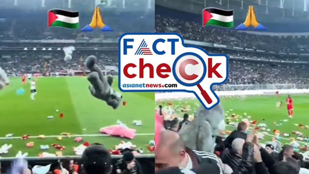 സ്നേഹത്തില്‍ പൊതിഞ്ഞ പാവക്കുട്ടികള്‍, ഈ സമ്മാനമെല്ലാം പലസ്‌തീനിലെ കുട്ടികള്‍ക്കോ? 