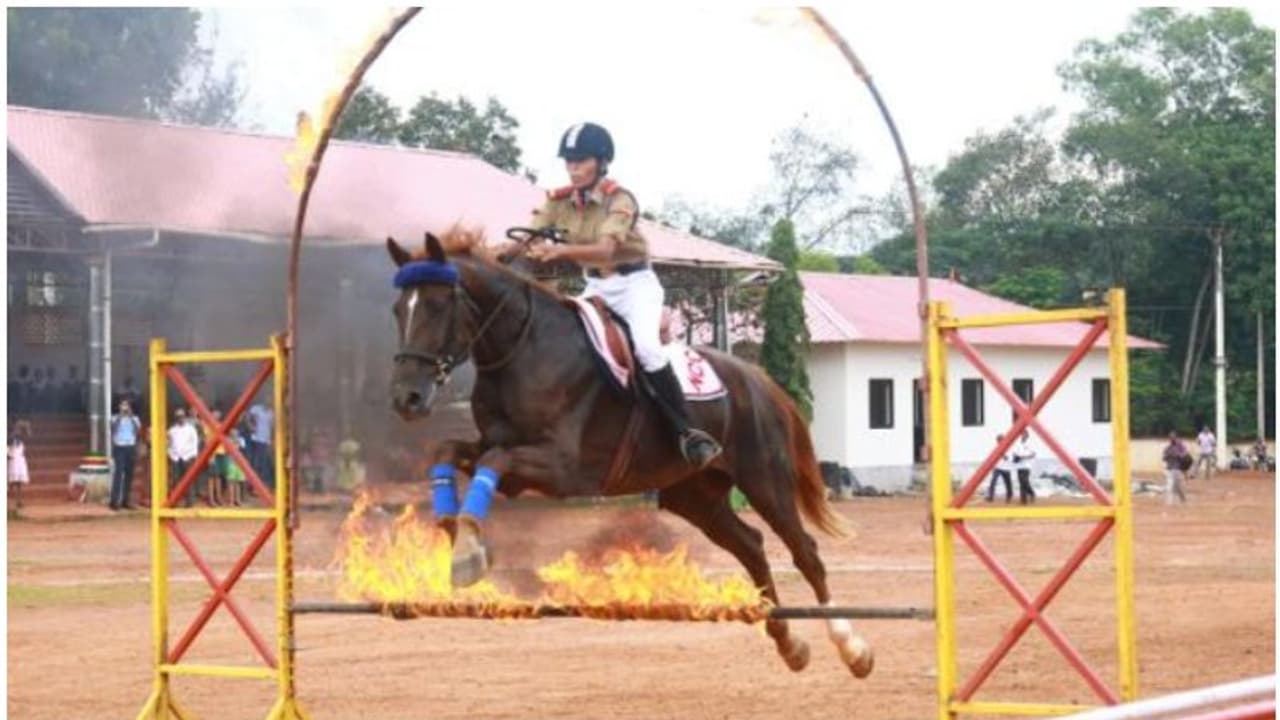 ദിവസവും അശ്വാരൂഢസേനയുടെ പ്രകടനവും എയ്റോ മോഡൽ ഷോയും; അത്ഭുതങ്ങള് നിറയുന്ന കേരളീയം, വമ്പൻ പരിപാടികൾ ദിവസവും അശ്വാരൂഢസേനയുടെ പ്രകടനവും എയ്റോ മോഡൽ ഷോയും; അത്ഭുതങ്ങള് നിറയുന്ന കേരളീയം, വമ്പൻ പരിപാടികൾ