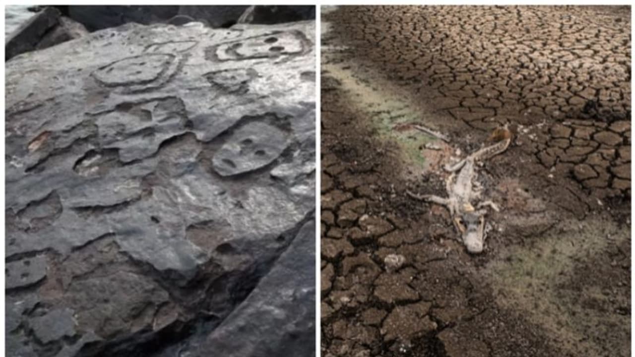 ആമസോണില്‍ മഴ കുറഞ്ഞു, നദികള്‍ വറ്റിത്തുടങ്ങിയപ്പോള്‍ ഉയര്‍ന്ന് വന്നത് 1000 വര്‍ഷം പഴക്കമുള്ള ചരിത്രം !