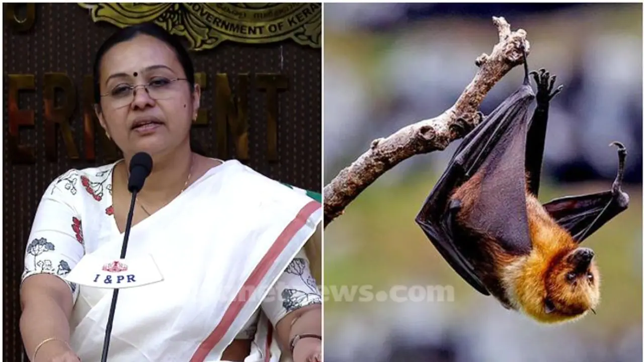 ICMR confirms presence of Nipah virus in bats in Kerala's Wayanad
