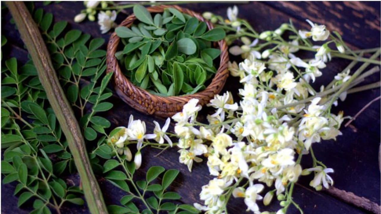 മുരിങ്ങപ്പൂവ് കഴിക്കുന്നത് ഈ രോഗത്തെ തടഞ്ഞേക്കാം... മുരിങ്ങപ്പൂവ് കഴിക്കുന്നത് ഈ രോഗത്തെ തടഞ്ഞേക്കാം...