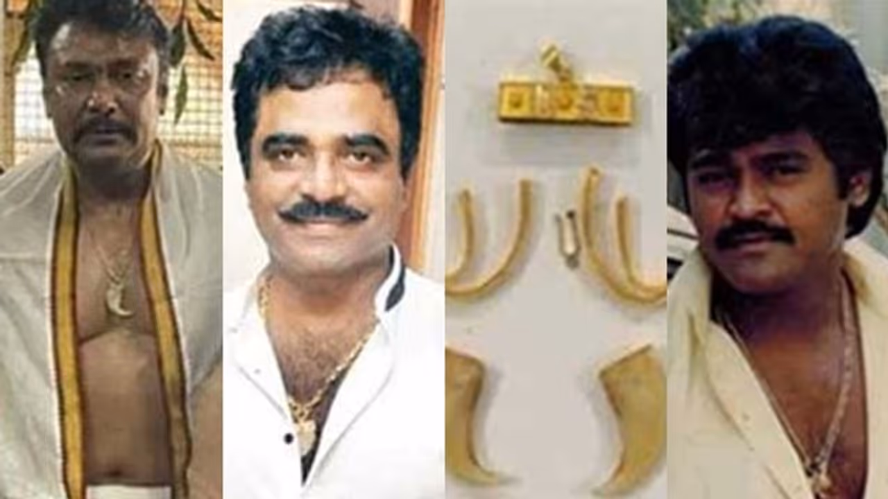 ಹುಲಿ ಉಗುರು, ನರಿ ಹಲ್ಲು, ಆನೆ ಬಾಲದ ರೋಮ..ಸೆಲೆಬ್ರಿಟಿಗಳಿಗೆ ಇವುಗಳ ಬಗ್ಗೆ ಯಾಕಿಷ್ಟು ಕ್ರೇಜ್‌!