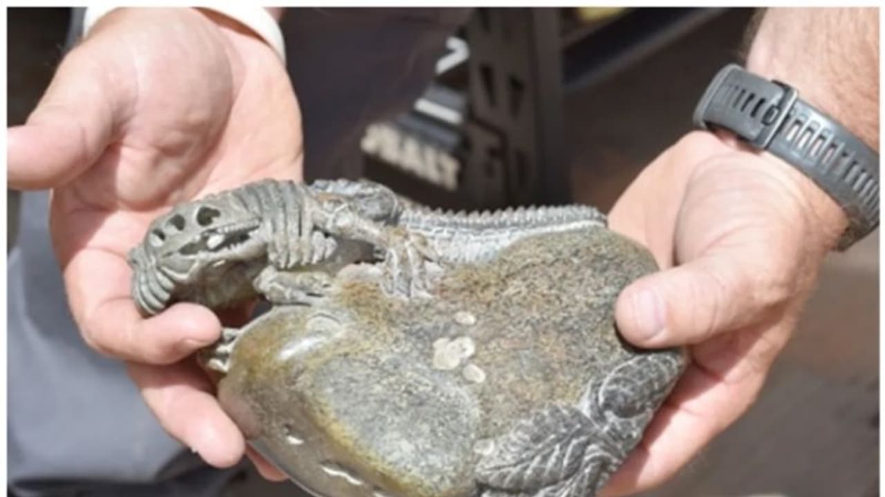 എട്ട് കോടി വിലവരുന്ന ദിനോസര് അസ്ഥികള് ചൈനയ്ക്ക് മറിച്ച് വിറ്റ നാല് യുഎസ് പൗരന്മാര് അറസ്റ്റില് എട്ട് കോടി വിലവരുന്ന ദിനോസര് അസ്ഥികള് ചൈനയ്ക്ക് മറിച്ച് വിറ്റ നാല് യുഎസ് പൗരന്മാര് അറസ്റ്റില്