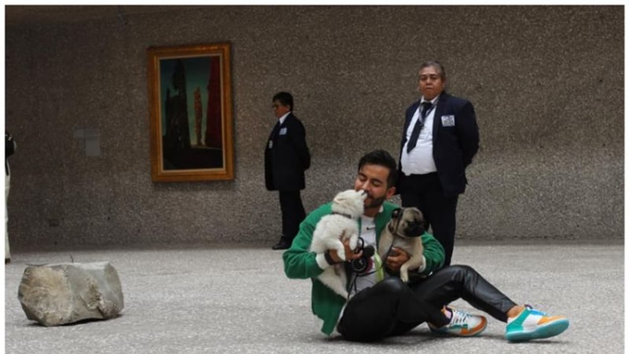 നായ്ക്കള്ക്കും അവരുടെ യജമാനന്മാര്ക്കുമായി ഒരു ചിത്രപ്രദര്ശനം ! നായ്ക്കള്ക്കും അവരുടെ യജമാനന്മാര്ക്കുമായി ഒരു ചിത്രപ്രദര്ശനം !