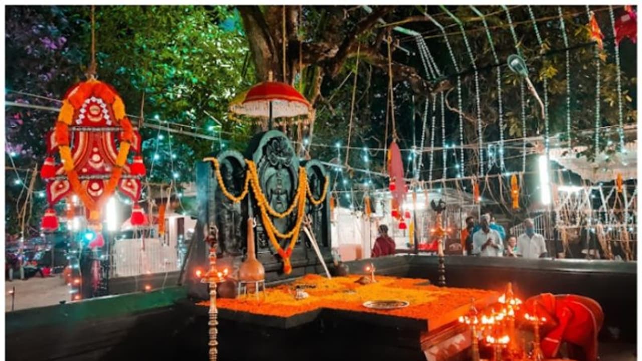 മായംകോട്ട് മലഞ്ചരുവ് മലനട ക്ഷേത്രത്തിന്റെ പ്രത്യേകത ഇതാണ് മായംകോട്ട് മലഞ്ചരുവ് മലനട ക്ഷേത്രത്തിന്റെ പ്രത്യേകത ഇതാണ്