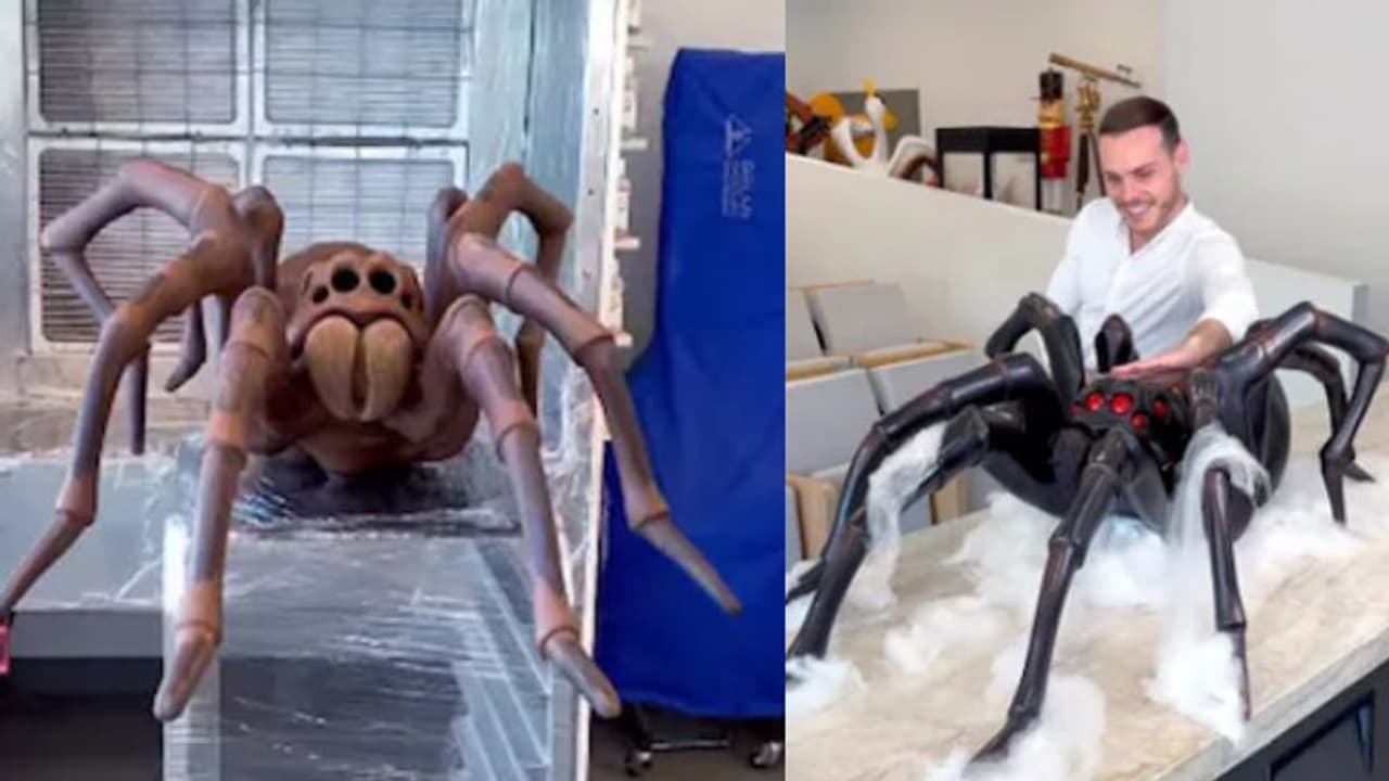 പേടിക്കാതെ കഴിക്കാം, ഇതാണത്രേ 'ചോക്ലേറ്റ് ചിലന്തി'; വൈറലായി വീഡിയോ 