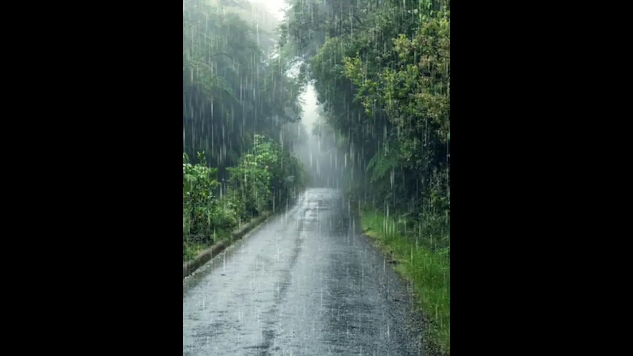 Kerala News Highlights: Kerala to receive heavy rainfall today; IMD issues yellow alert in 12 districts Kerala News Highlights: Kerala to receive heavy rainfall today; IMD issues yellow alert in 12 districts