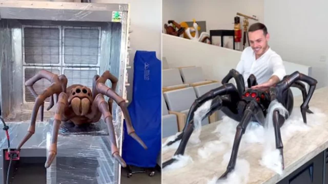 കണ്ടാല് പേടിക്കും ഉഗ്രൻ എട്ടുകാലി; സംഗതി എന്താണെന്നറിയാമോ? കണ്ടാല് പേടിക്കും ഉഗ്രൻ എട്ടുകാലി; സംഗതി എന്താണെന്നറിയാമോ?