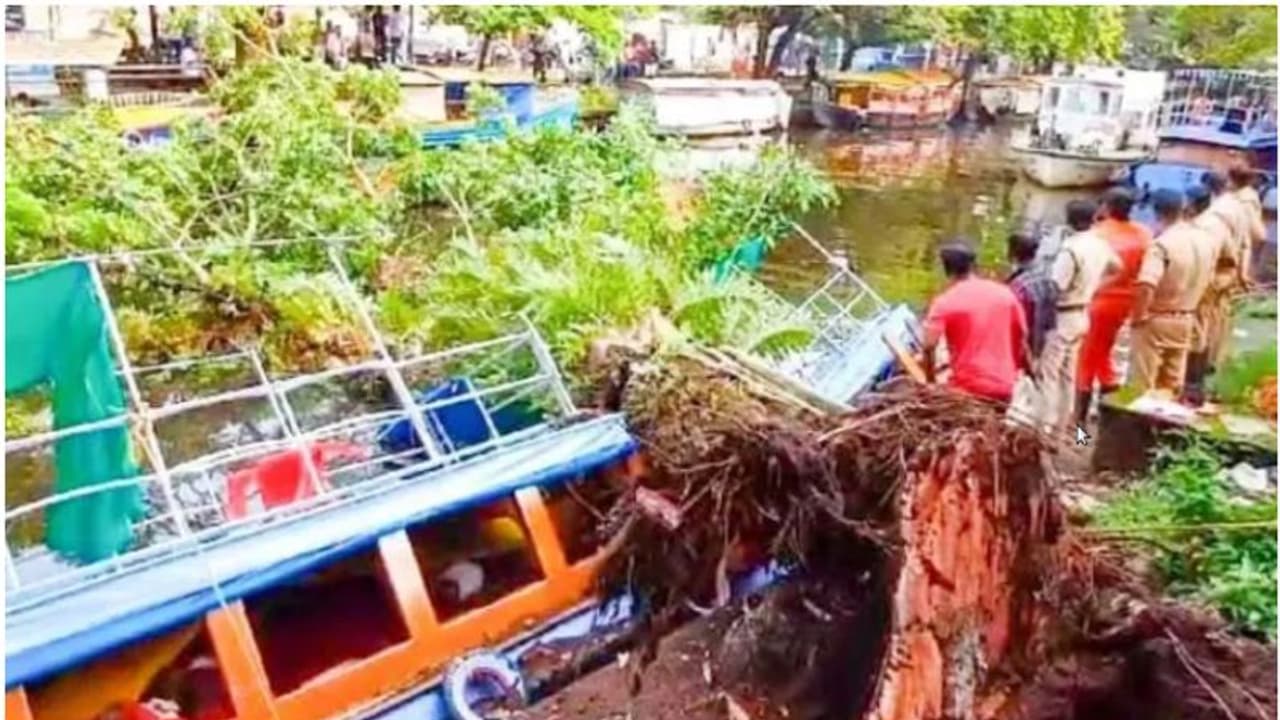 ആലപ്പുഴയിൽ മരം വീണ് സ്വകാര്യ ബോട്ട് പൂർണമായി തകർന്നു, വൻ ദുരന്തം ഒഴിവായി ആലപ്പുഴയിൽ മരം വീണ് സ്വകാര്യ ബോട്ട് പൂർണമായി തകർന്നു, വൻ ദുരന്തം ഒഴിവായി