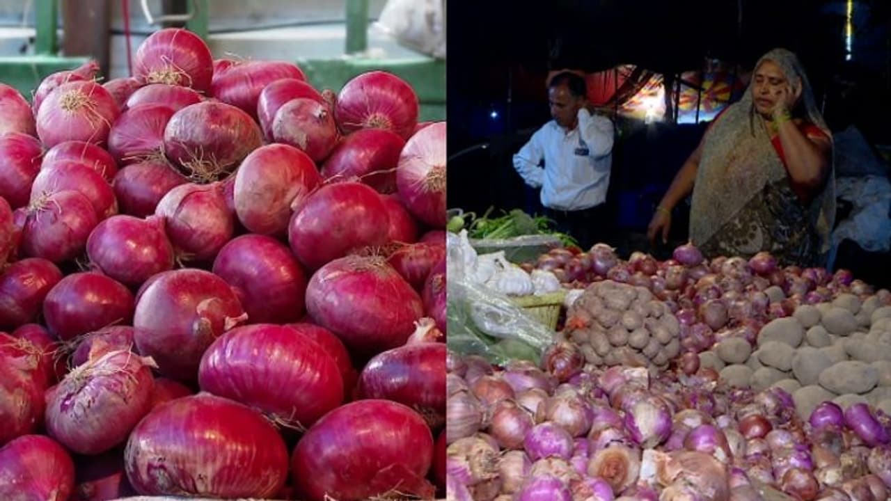 ഉള്ളി അരിഞ്ഞാല് മാത്രമല്ല, വില കേട്ടാലും കണ്ണ് നനയും, സവാള വിലയും കുതിക്കുന്നു, അഞ്ചിരട്ടിയേോളം വില വര്ധന ഉള്ളി അരിഞ്ഞാല് മാത്രമല്ല, വില കേട്ടാലും കണ്ണ് നനയും, സവാള വിലയും കുതിക്കുന്നു, അഞ്ചിരട്ടിയേോളം വില വര്ധന