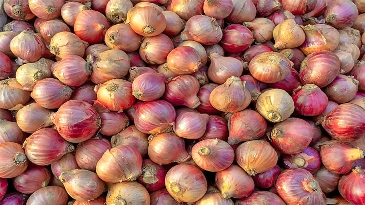 ಉಳ್ಳಾಗಡ್ಡಿ ದರ ಏರಿಕೆ: ಗ್ರಾಹಕರಿಗೆ ಕಣ್ಣೀರು ತರಿಸಿದ ಈರುಳ್ಳಿ..!