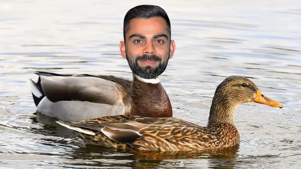 INDvENG ಡಕೌಟ್ ಆದ ಕೊಹ್ಲಿಯನ್ನು ಡಕ್ಗೆ ಹೋಲಿಸಿದ ಇಂಗ್ಲೆಂಡ್ ಫ್ಯಾನ್ಸ್, ಭಾರತೀಯರ ತಿರುಗೇಟು! INDvENG ಡಕೌಟ್ ಆದ ಕೊಹ್ಲಿಯನ್ನು ಡಕ್ಗೆ ಹೋಲಿಸಿದ ಇಂಗ್ಲೆಂಡ್ ಫ್ಯಾನ್ಸ್, ಭಾರತೀಯರ ತಿರುಗೇಟು!