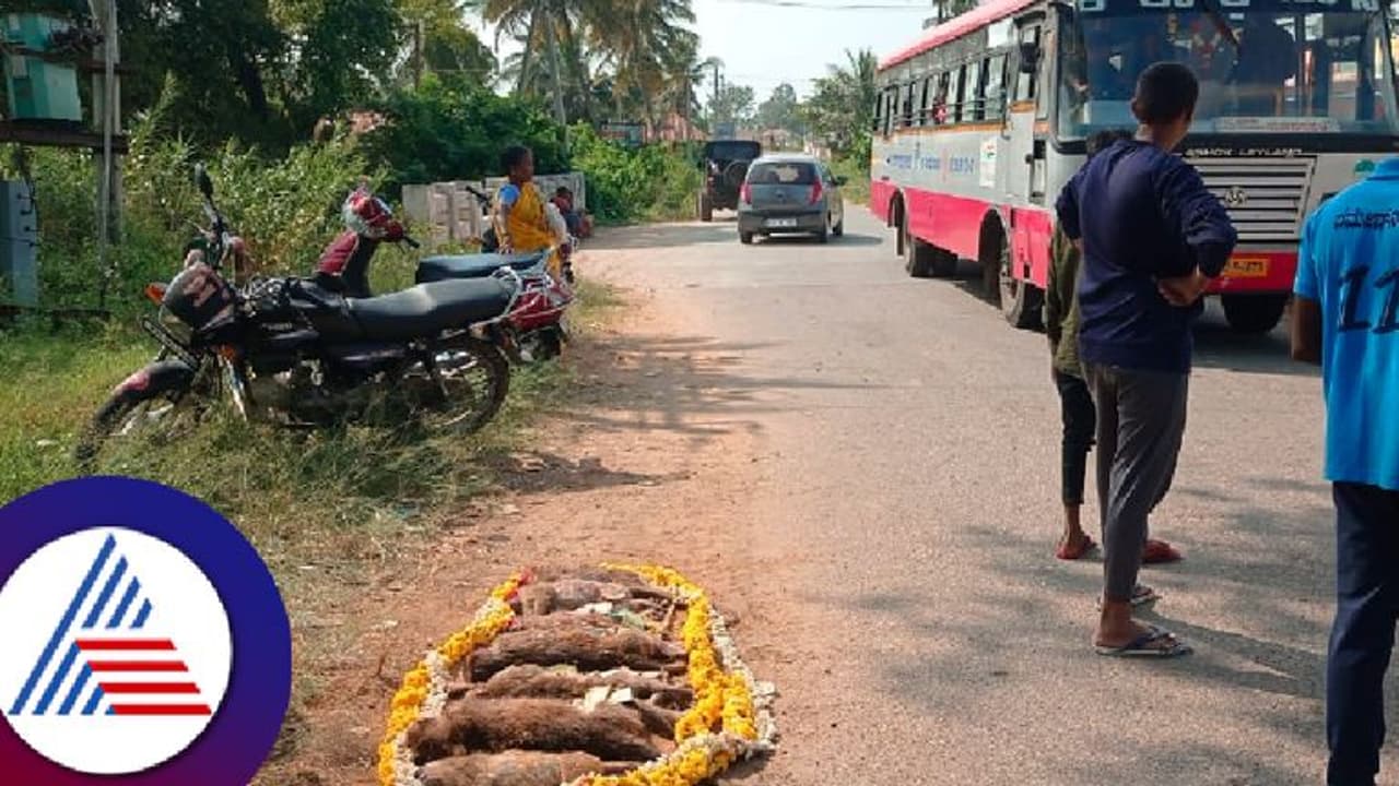 ರಾಮನಗರದಲ್ಲಿ ಮಂಗಗಳ ಮಾರಣಹೋಮ; ವಿಷವುಣಿಸಿ ಸಾಯಿಸಿದ ದುಷ್ಕರ್ಮಿಗಳು!