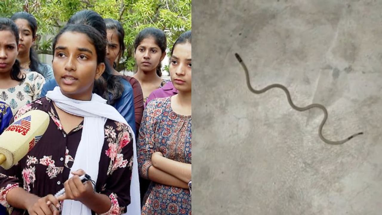 'പുഴുക്കൾ പുളയുന്ന കുടിവെള്ളം, എല്ലാവരും ആശുപത്രിയിലായി'; കോളേജ് മാനേജ്മെന്റിനെതിരെ വിദ്യാർത്ഥികൾ 'പുഴുക്കൾ പുളയുന്ന കുടിവെള്ളം, എല്ലാവരും ആശുപത്രിയിലായി'; കോളേജ് മാനേജ്മെന്റിനെതിരെ വിദ്യാർത്ഥികൾ