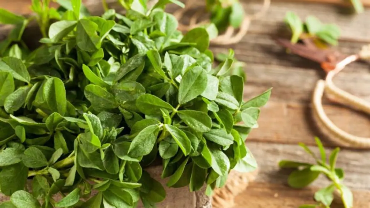 ഈ തണുപ്പത്ത് ഉലുവയില കഴിക്കുന്നതു കൊണ്ടുള്ള ആരോഗ്യ ഗുണങ്ങള്‍...