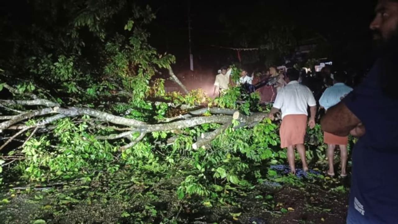 തൃശ്ശൂരിൽ കനത്ത മഴ, വ്യാപക നാശം! ഇടിമിന്നലേറ്റ് ഗർഭിണിയായ പശു ചത്തു, മരം വീണ് നിരവധിപേർക്ക് പരിക്ക് തൃശ്ശൂരിൽ കനത്ത മഴ, വ്യാപക നാശം! ഇടിമിന്നലേറ്റ് ഗർഭിണിയായ പശു ചത്തു, മരം വീണ് നിരവധിപേർക്ക് പരിക്ക്