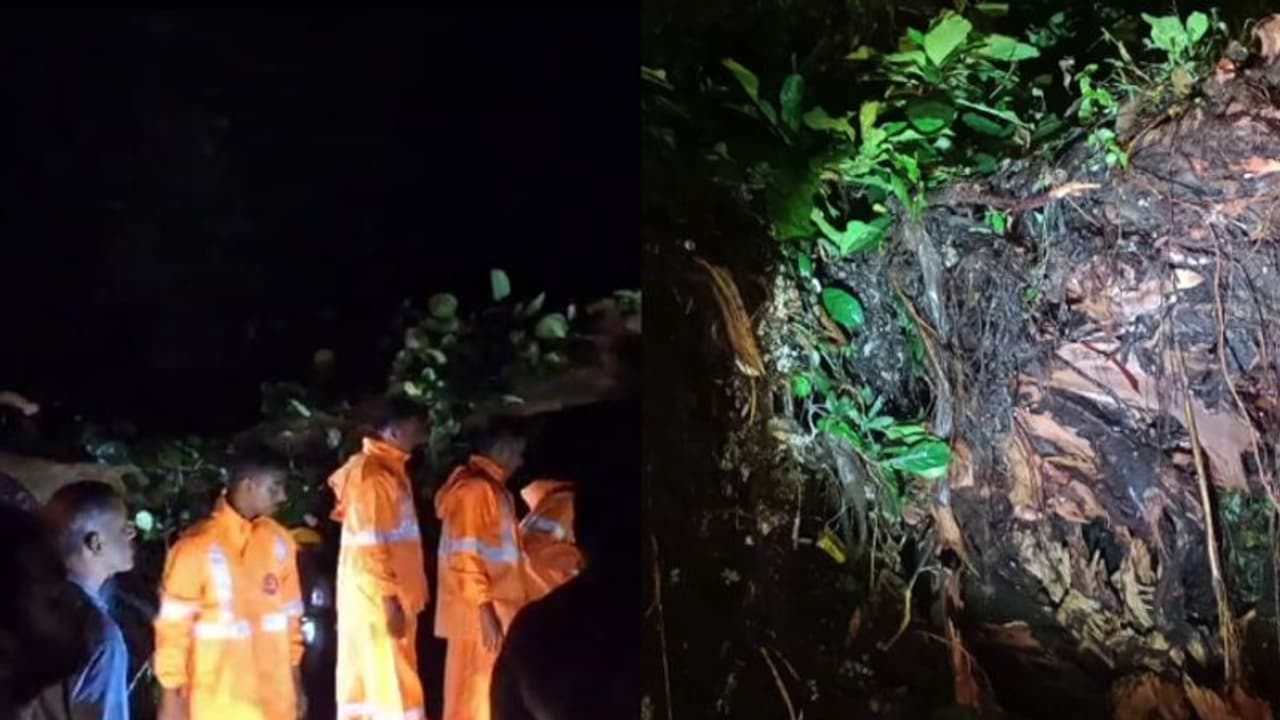 കനത്ത മഴ; മരം വീണ് വൈദ്യുതി ലൈന് തകരാറിലായി, തൃശ്ശൂര് ഷൊര്ണൂര് റൂട്ടില് ട്രെയിനുകള് വൈകും കനത്ത മഴ; മരം വീണ് വൈദ്യുതി ലൈന് തകരാറിലായി, തൃശ്ശൂര് ഷൊര്ണൂര് റൂട്ടില് ട്രെയിനുകള് വൈകും